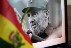 With a cry of `Viva Fidel!`, Cubans begin mourning for Castro 